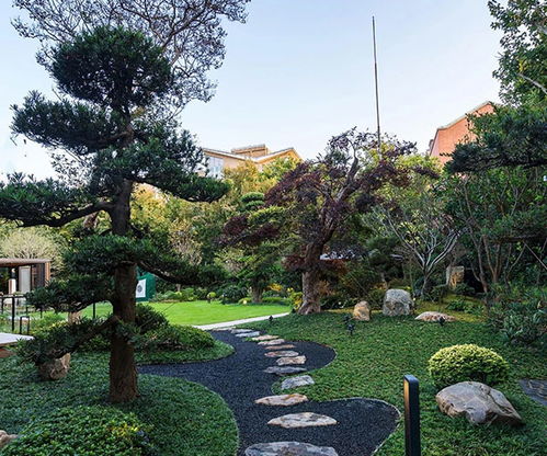 山東大道園林商家推薦 林地與濕地規(guī)劃設計優(yōu)選指南