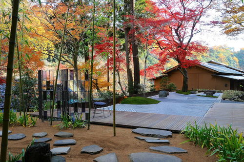 現代園林景觀設計中色彩運用的藝術與科學