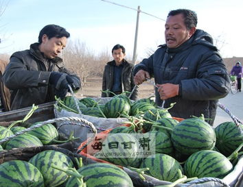 涼州清水鄉 多措并舉撬動農副產品銷售新引擎